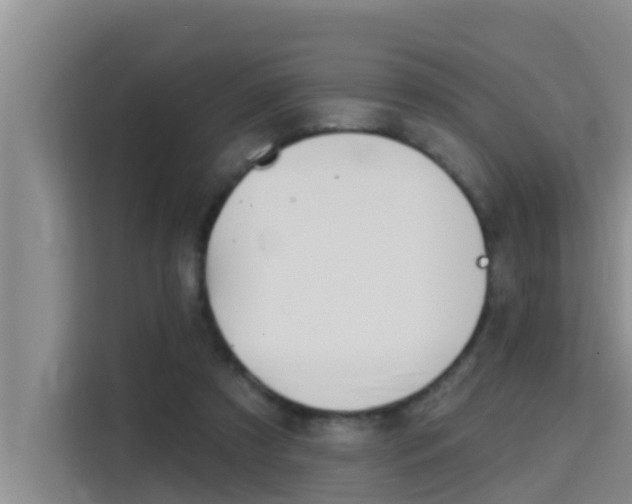 X0000115610305200911100937