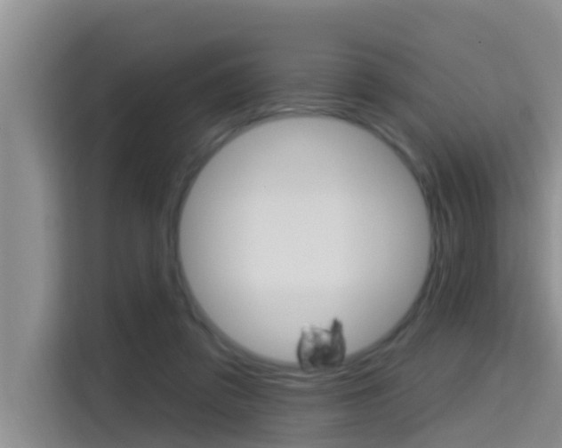 X0000115610309200911100937