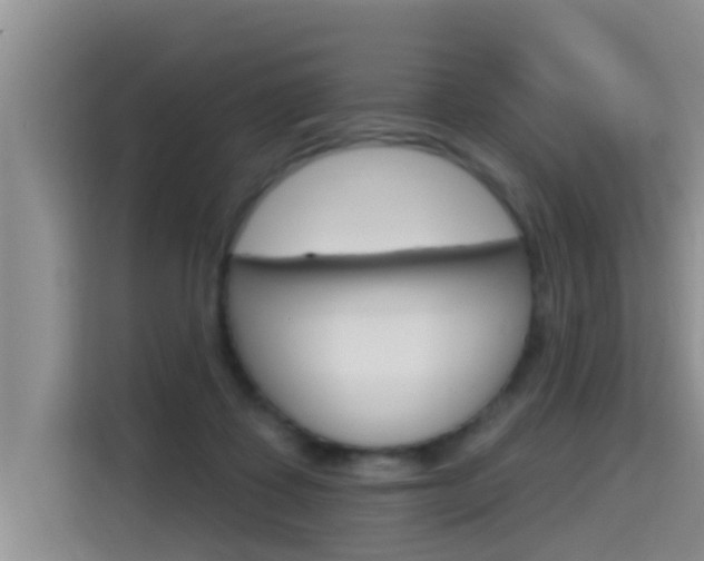X0000115610315200911100937
