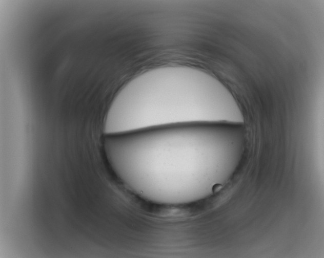 X0000115610319200911100937
