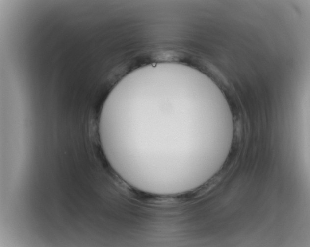 X0000115610322200911100937
