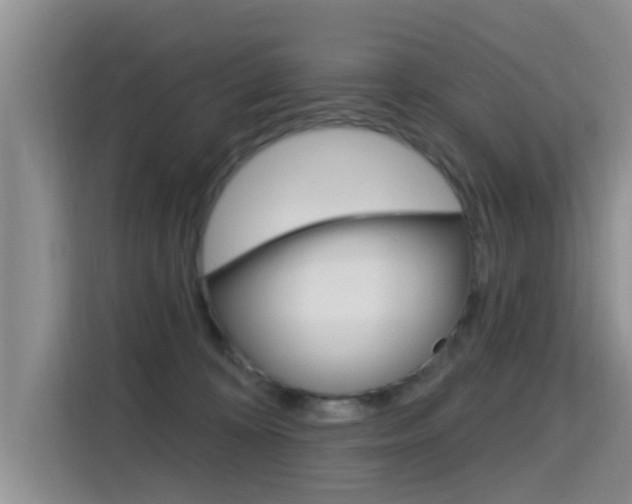 X0000115610324200911100937