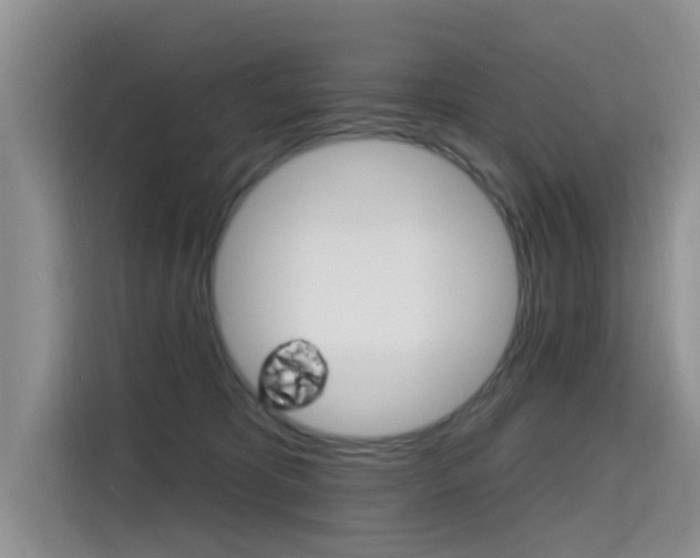 X0000115610325200911100937