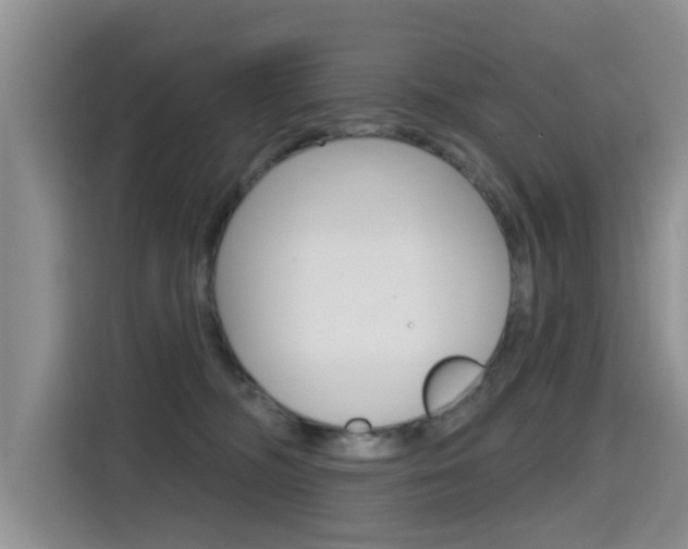 X0000115610326200911100937