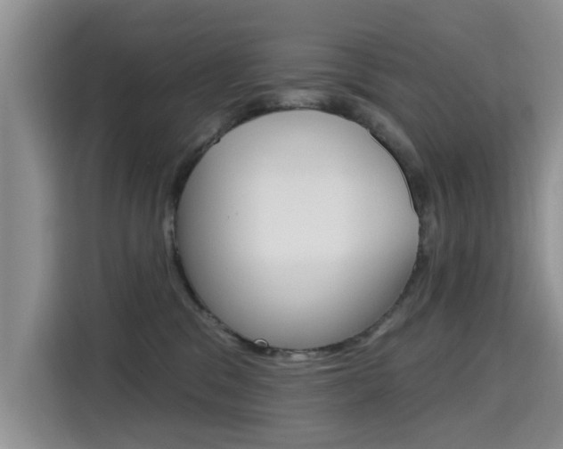 X0000115610329200911100937