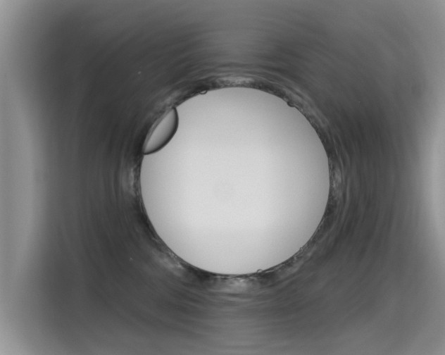 X0000115610330200911100937