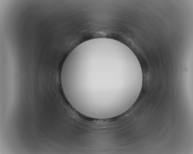 X0000115610331200911100937