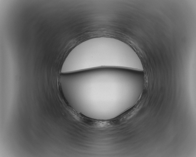 X0000115610333200911100937