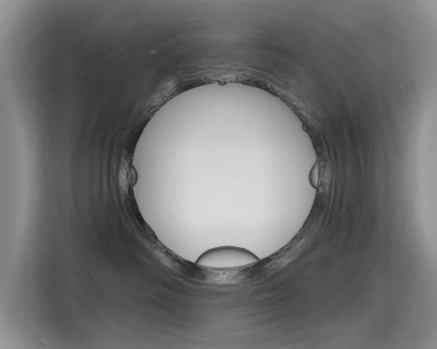 X0000115610334200911100936
