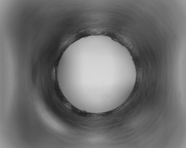 X0000115610335200911100936