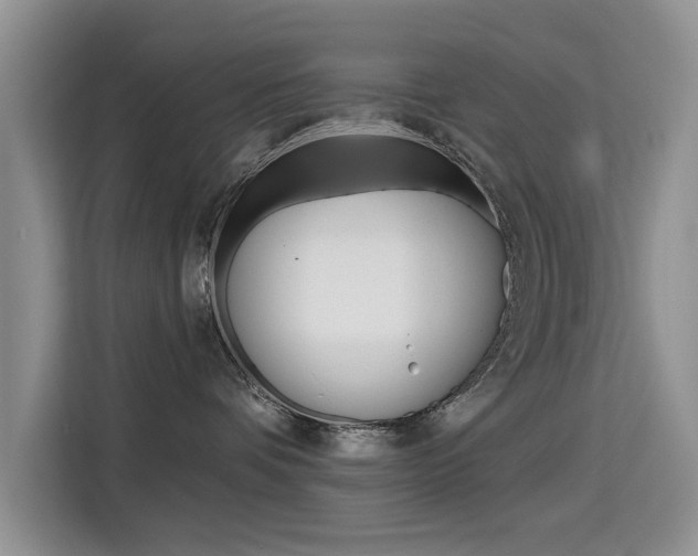 X0000115610336200911100936