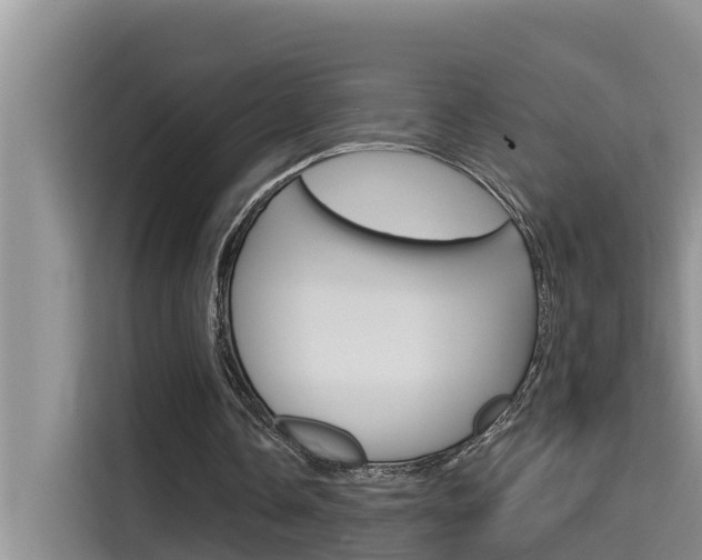 X0000115610338200911100936
