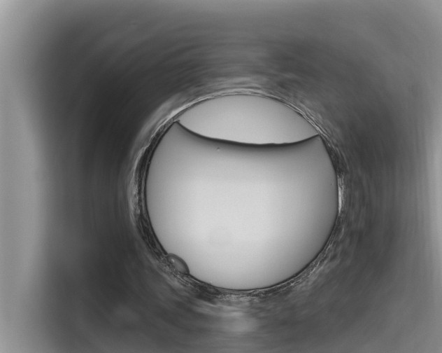 X0000115610339200911100936
