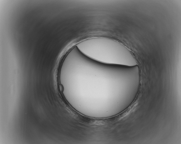X0000115610341200911100936