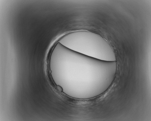 X0000115610342200911100936