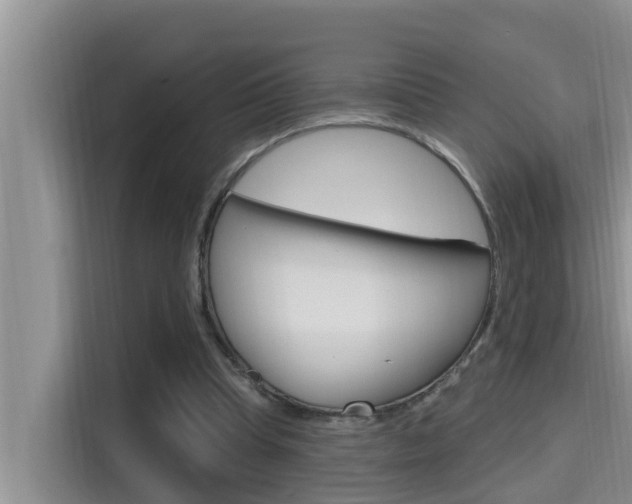 X0000115610345200911100936