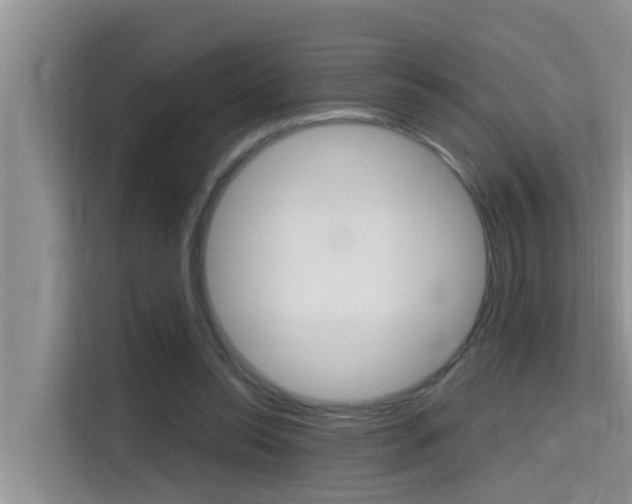 X0000115610350200911100936