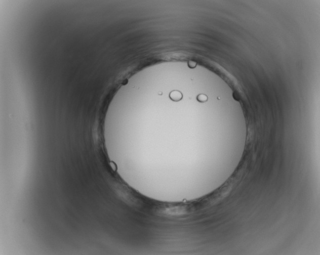X0000115610353200911100936