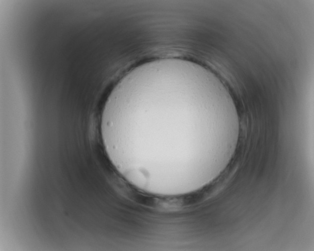 X0000115610359200911100936