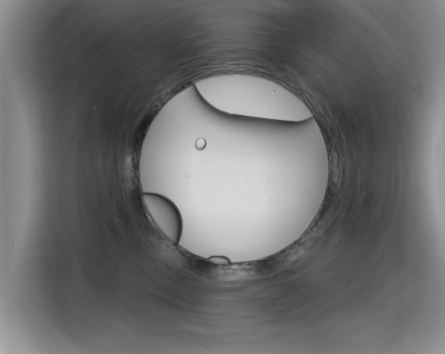 X0000115610378200911100936