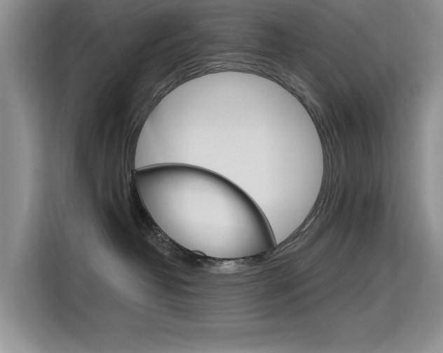 X0000115610382200911100936