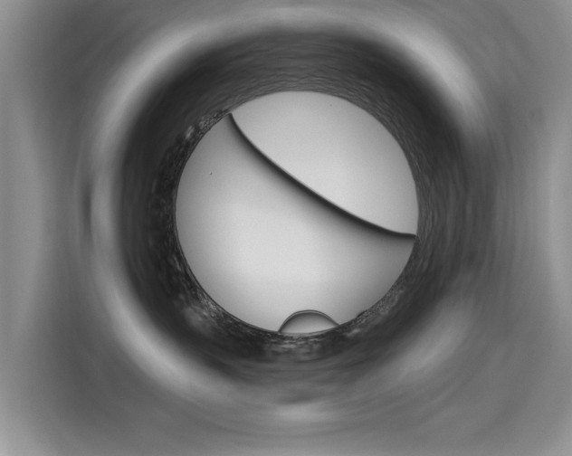 X0000115610383200911100936
