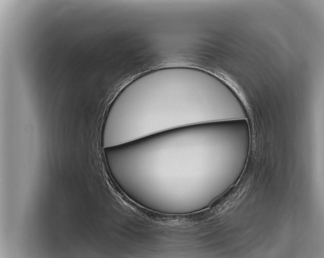 X0000115610385200911100936