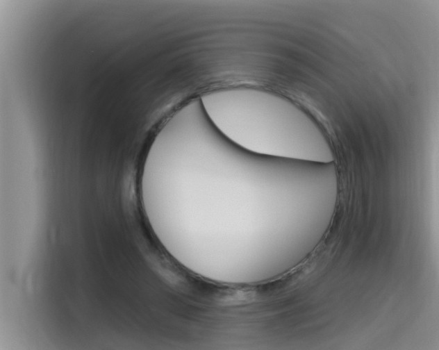 X0000115610398200911100936