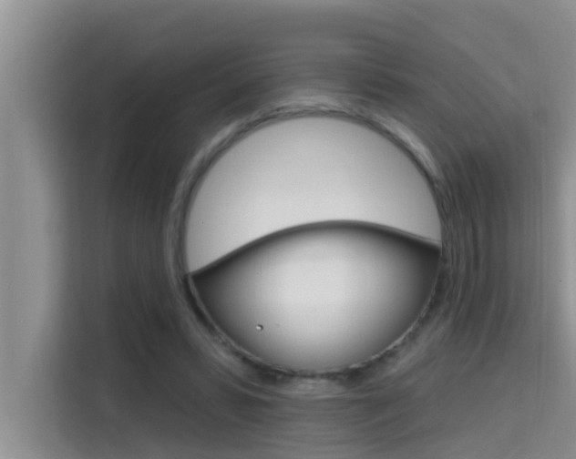 X0000115610399200911100936