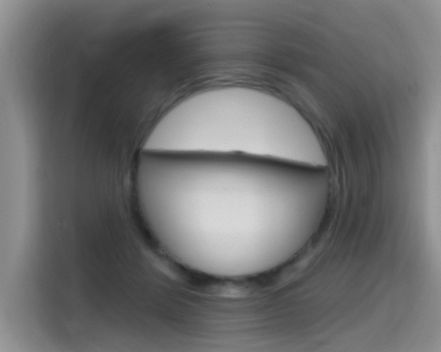 X0000115610412200911100935
