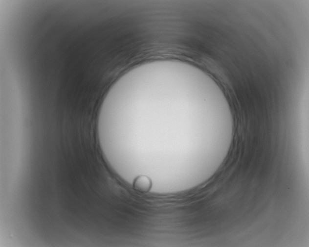 X0000115610415200911100935