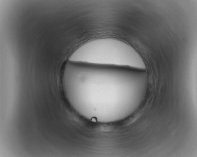 X0000115610416200911100935