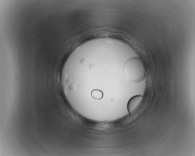 X0000115610418200911100935