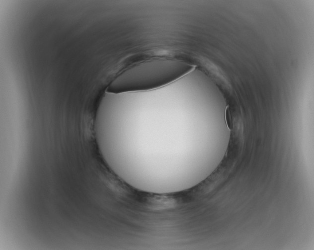X0000115610421200911100935