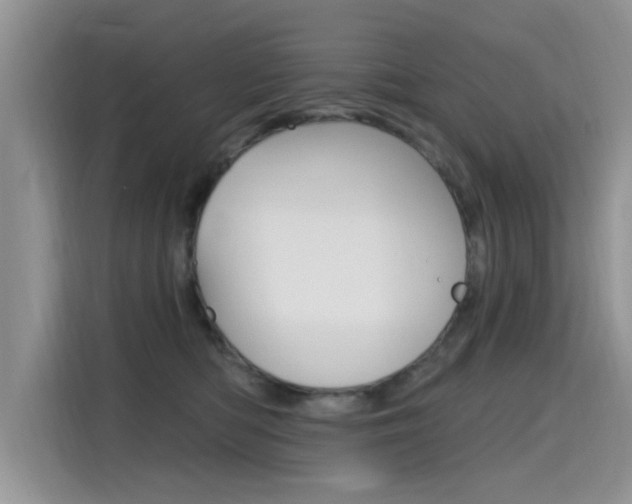 X0000115610422200911100935