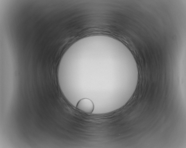 X0000115610423200911100935
