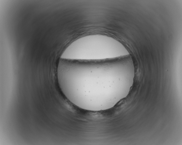 X0000115610424200911100935