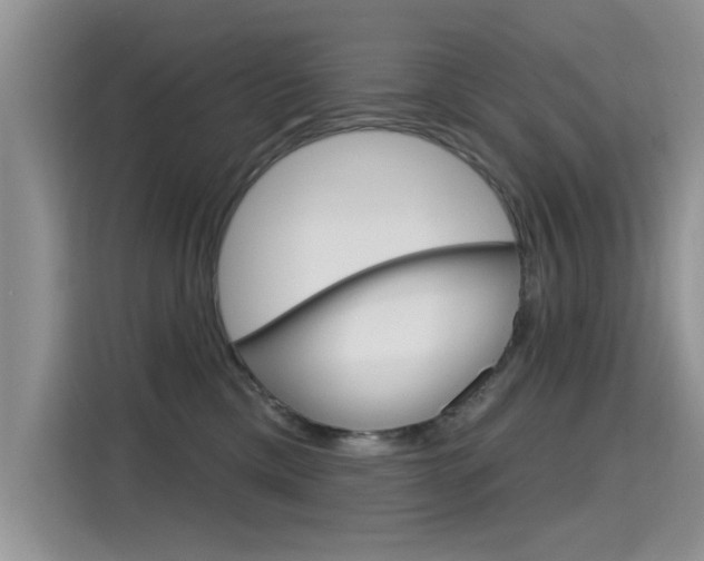 X0000115610425200911100935