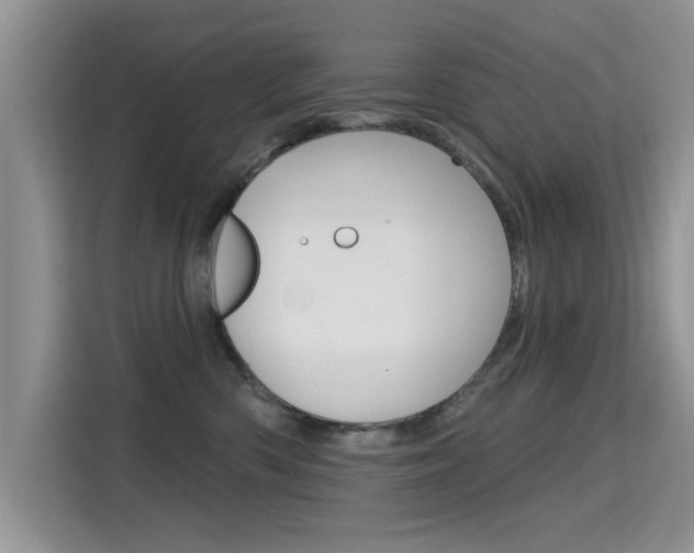 X0000115610426200911100935