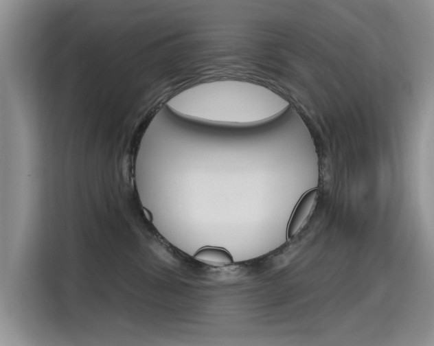 X0000115610428200911100935