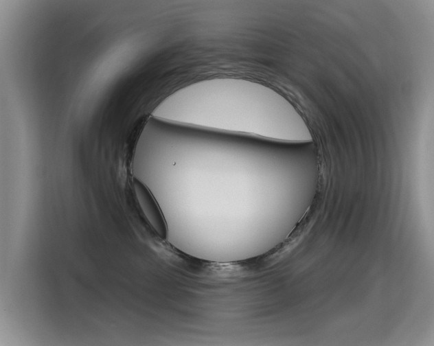 X0000115610429200911100935