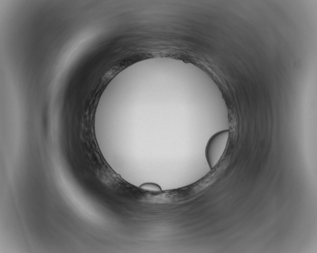 X0000115610430200911100935