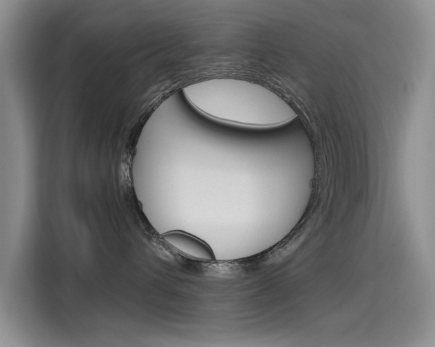 X0000115610432200911100935