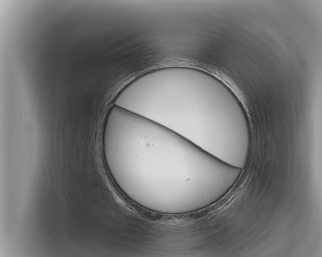 X0000115610433200911100935