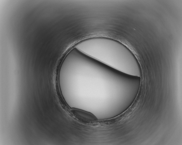 X0000115610434200911100935