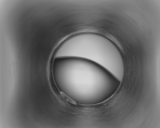 X0000115610436200911100935