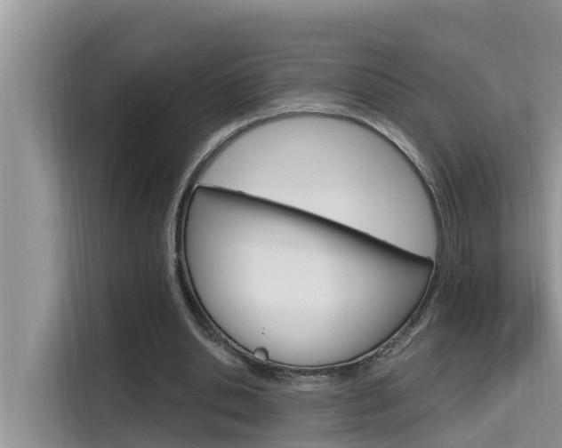 X0000115610438200911100935