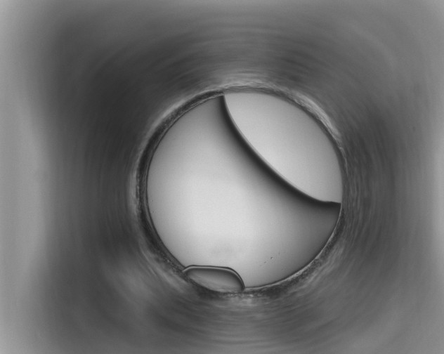 X0000115610439200911100935