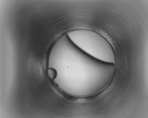 X0000115610441200911100935