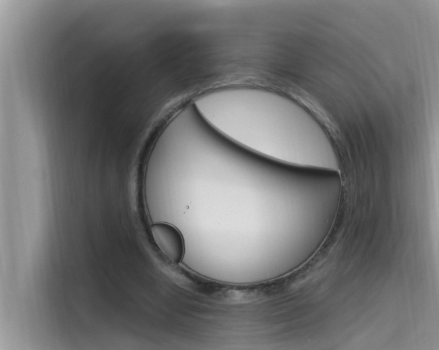 X0000115610442200911100935